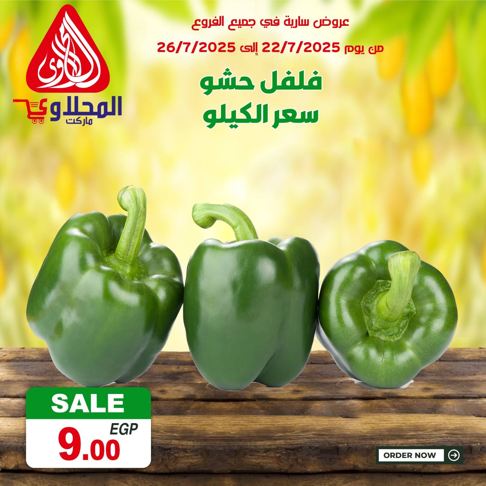 el-mahallawy offers from 22jul to 2jun 2025 عروض المحلاوي من 22 يوليو حتى 2 يونيو 2025 صفحة رقم 9